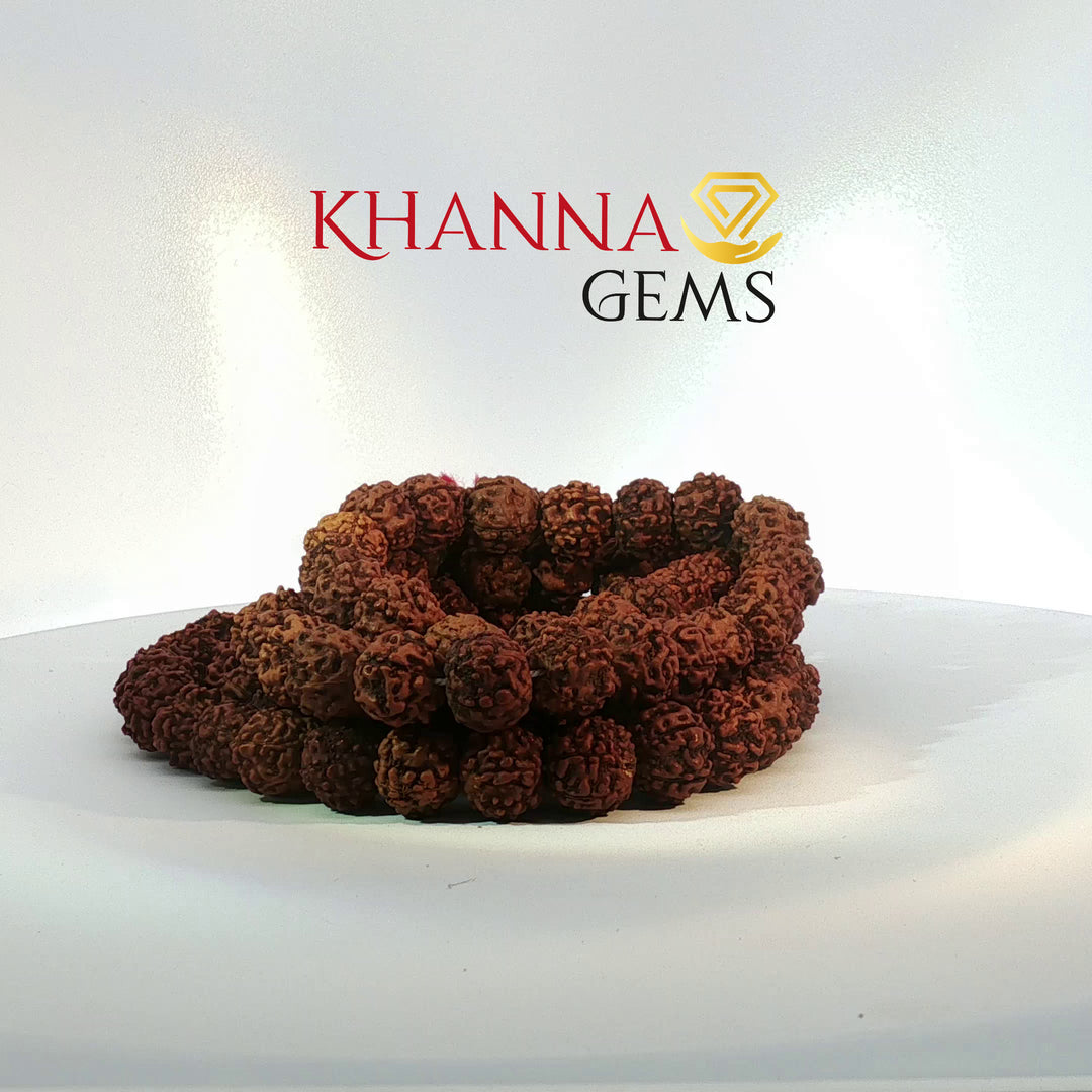 FIVE MUKHI RUDRAKSHA MALA (BIG BEADS)- KG01