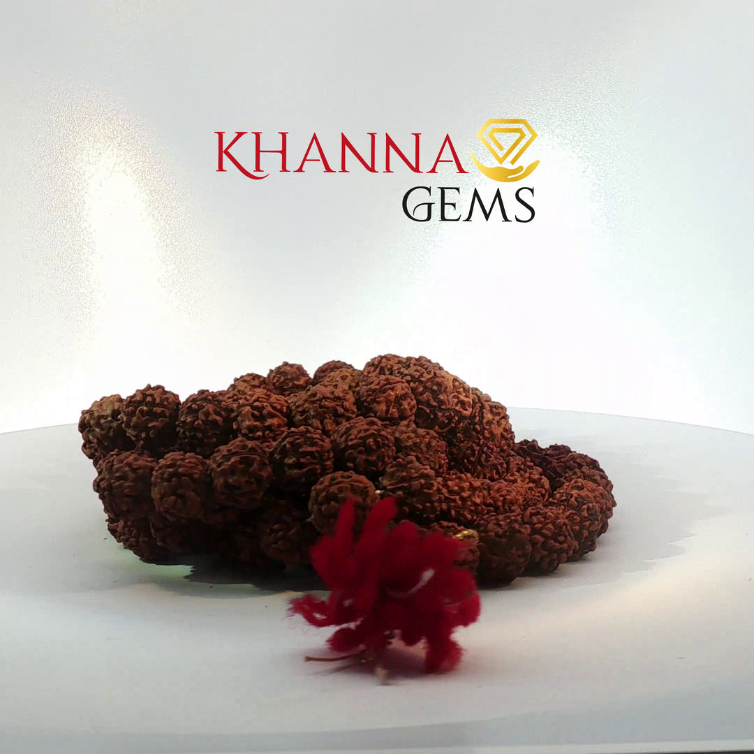 FIVE MUKHI RUDRAKSHA MALA (BIG BEADS)- KG01