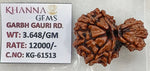 Load image into Gallery viewer, 3.640 Gram Natural Garbh Gauri  Rudraksha with Govt. Lab Certificate-KG61513