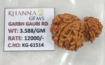 Load image into Gallery viewer, 3.580 Gram Natural Garbh Gauri  Rudraksha with Govt. Lab Certificate-KG61514