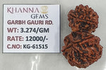 Load image into Gallery viewer, 3.270 Gram Natural Garbh Gauri  Rudraksha with Govt. Lab Certificate-KG61515