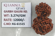 3.270 Gram Natural Garbh Gauri  Rudraksha with Govt. Lab Certificate-KG61515