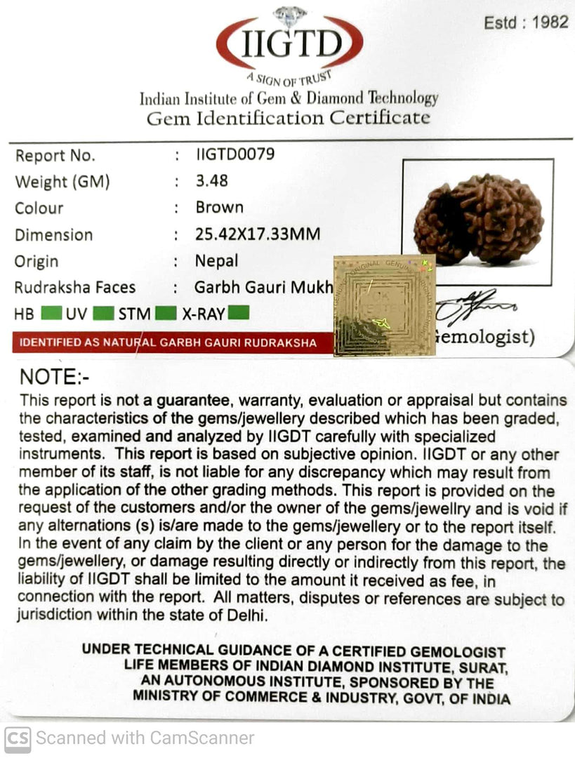 GARBH GAURI RUDRAKSH