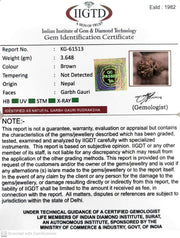 3.640 Gram Natural Garbh Gauri  Rudraksha with Govt. Lab Certificate-KG61513