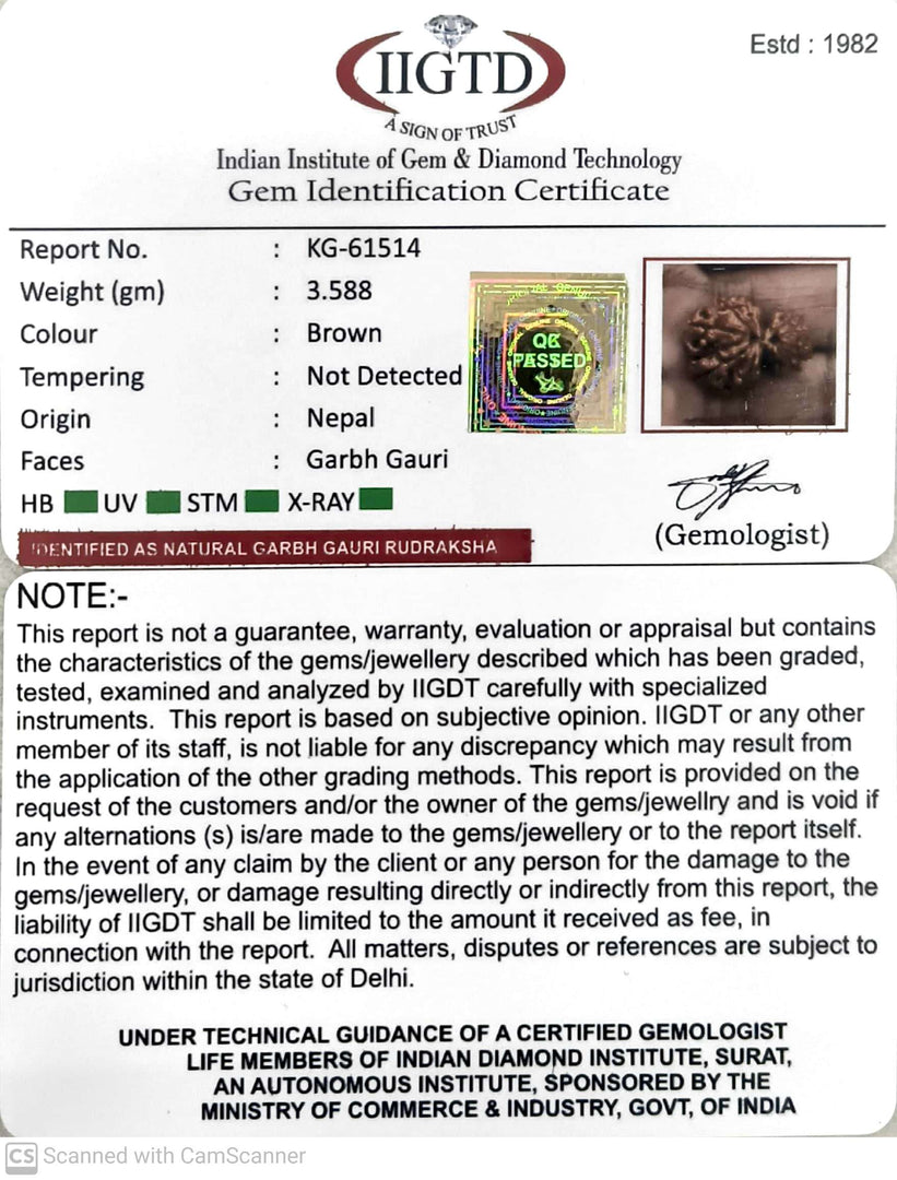 3.580 Gram Natural Garbh Gauri  Rudraksha with Govt. Lab Certificate-KG61514
