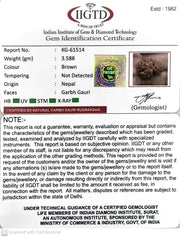 3.580 Gram Natural Garbh Gauri  Rudraksha with Govt. Lab Certificate-KG61514