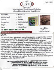 3.270 Gram Natural Garbh Gauri  Rudraksha with Govt. Lab Certificate-KG61515