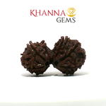 Load image into Gallery viewer, GAURI SHANKAR RUDRAKSHA