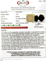 Load image into Gallery viewer, GAURI SHANKAR RUDRAKSHA