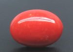 Load image into Gallery viewer, 5.64/CT Natural Japanees Coral With Govt. Lab Certificate (8200)