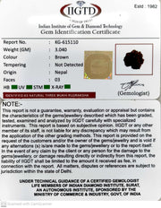 3.040 Gram Natural Three Mukhi Rudraksha with Govt. Lab Certificate-KG615110