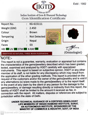 2.450 Gram Natural Three Mukhi Rudraksha with Govt. Lab Certificate-KG615111