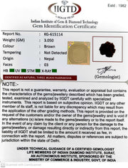 3.050 Gram Natural Three Mukhi Rudraksha with Govt. Lab Certificate-KG615114