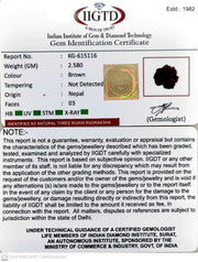 2.580 Gram Natural Three Mukhi Rudraksha with Govt. Lab Certificate-KG615116