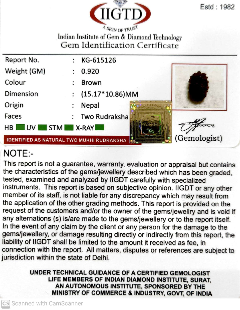 0.920 Gram Natural Two Mukhi Rudraksha with Govt. Lab Certificate-KG615126