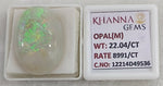 Load image into Gallery viewer, 22.04/CT Natural Opal with Govt. Lab Certificate-12214D49536