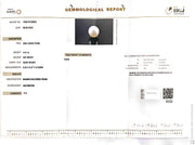 4.41/CT Natural South Sea Pearl Beads With Lab Certificate (1550)