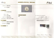 7.70/CT Natural South Sea Pearl With Lab Certificate-15808S204920
