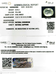 8.26/CT Natural Yellow Sapphire With Govt Lab Certificate (12210)