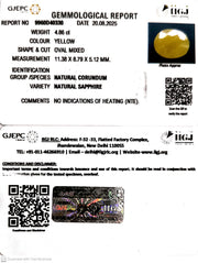 4.86/CT Natural Yellow Sapphire With Govt Lab Certificate (1221)