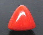 Load image into Gallery viewer, 13.84/CT Natural Red Coral With Govt. Lab Certificate-10815D43655