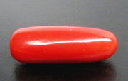 7.61/CT Natural Red Coral With Govt. Lab Certificate-10877D43888
