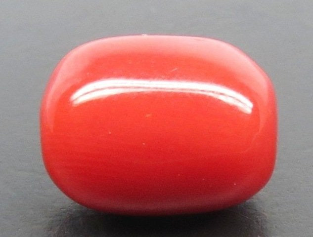 7.42/CT Natural Red Coral With Govt. Lab Certificate-10952D44233