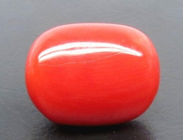 7.87/CT Natural Red Coral With Govt. Lab Certificate-10952D44238