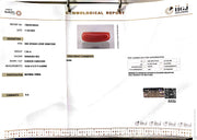 7.45/CT Natural Red Coral With Govt. Lab Certificate