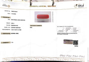 8.88/CT Natural Red Coral With Govt. Lab Certificate
