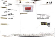 7.19/CT Natural Red Coral With Govt. Lab Certificate