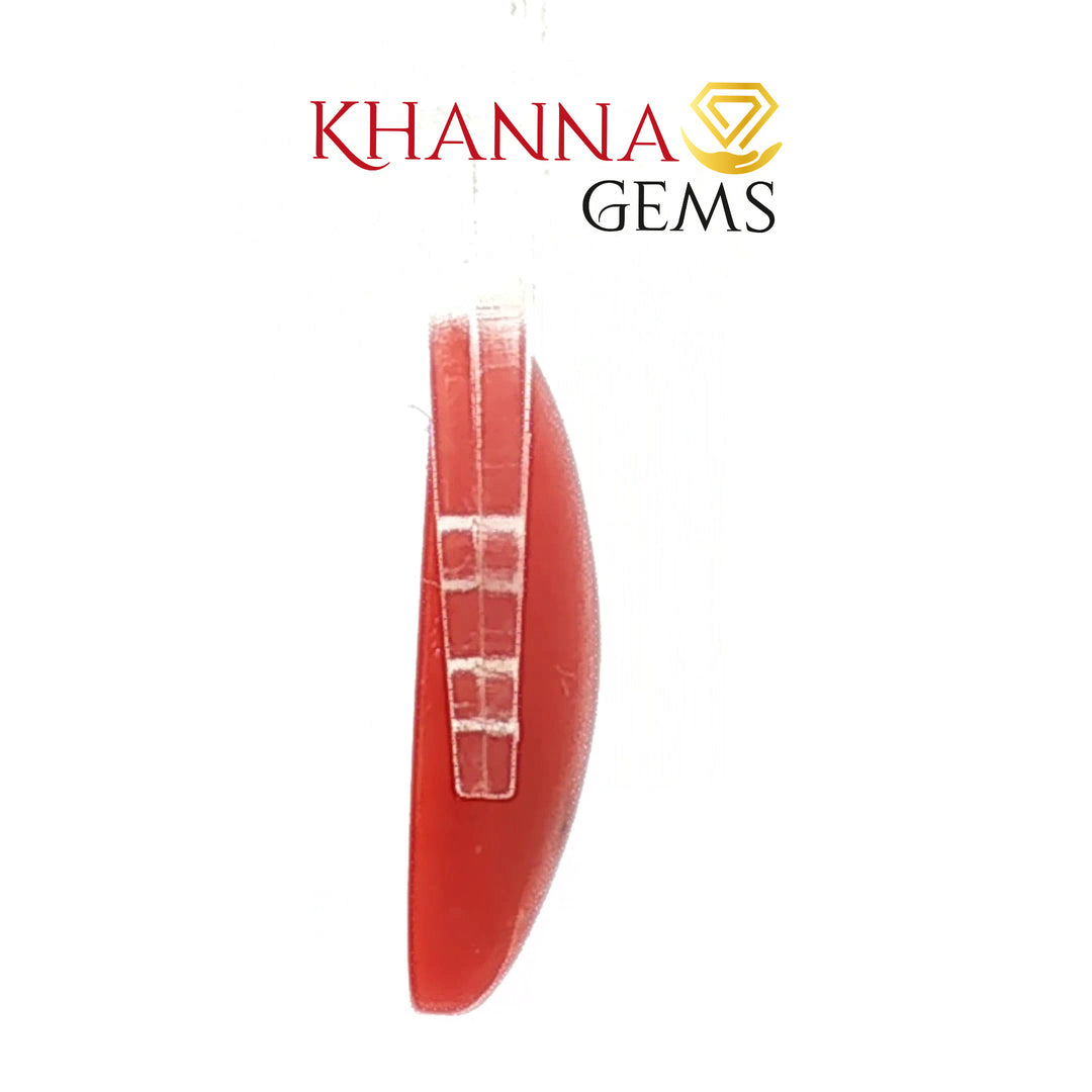 6.57/CT Natural Red Coral With Govt. Lab Certificate (8200)