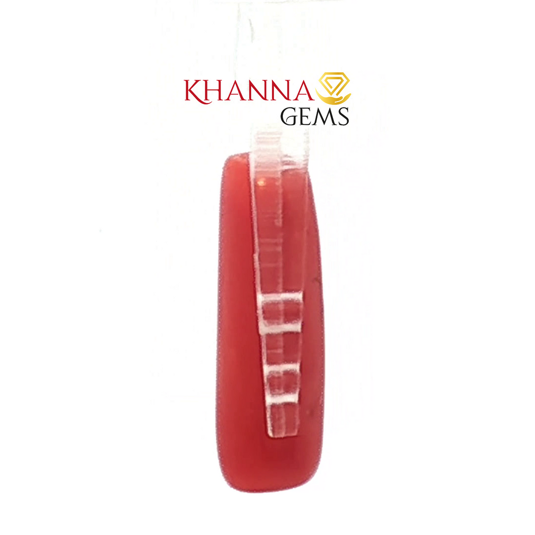 5.4/CT Natural Certified Red Coral Gemstone -826215