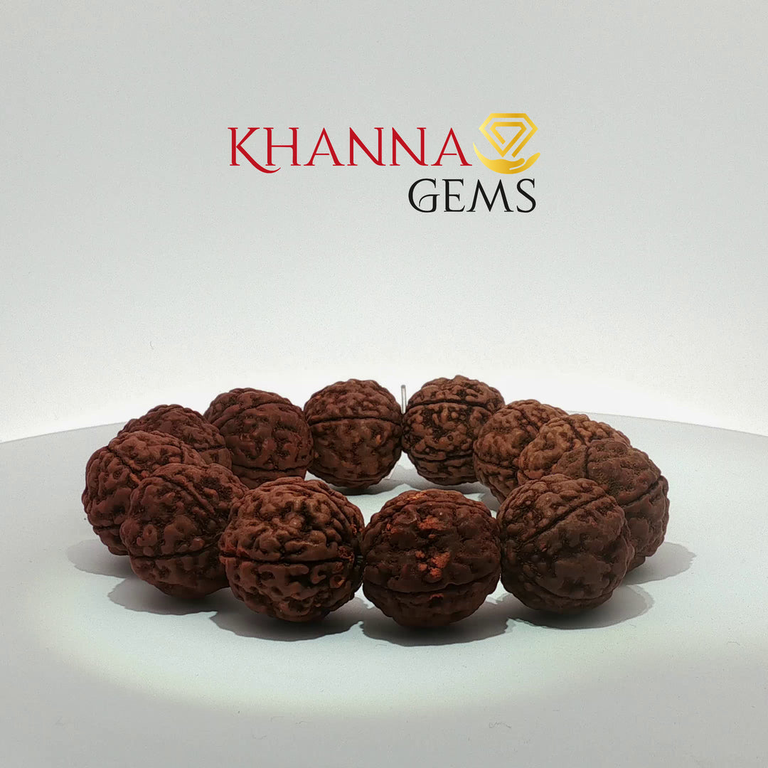 Rudraksha Bracelets (Big Beads)