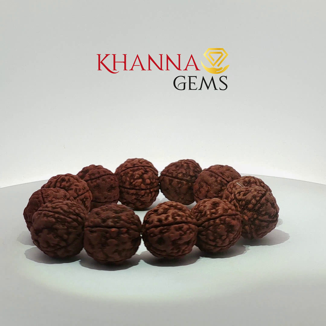 Rudraksha Bracelets (Big Beads)