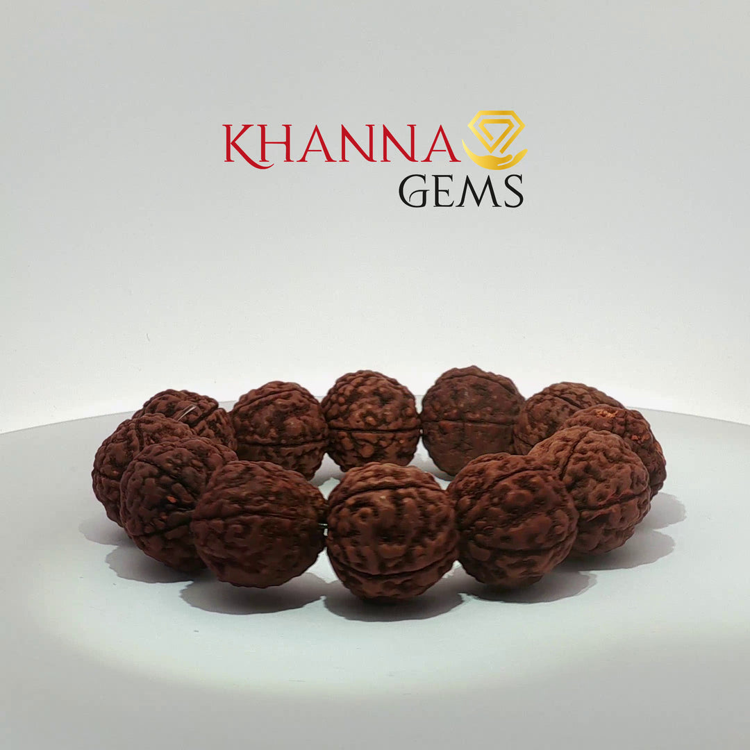 Rudraksha Bracelets (Big Beads)