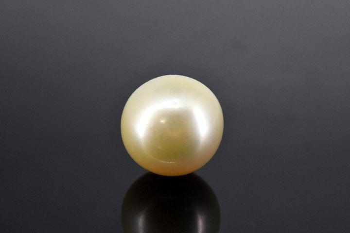 22.1/CT Natural South Sea Pearl With Lab Certificate (1550)