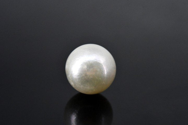 8.3/CT Natural South Sea Pearl With Lab Certificate (1550)