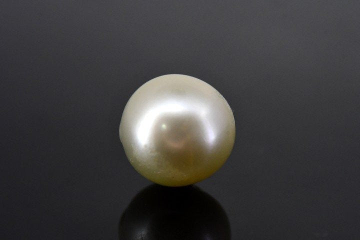 7.69/CT Natural South Sea Pearl With Lab Certificate (1550)