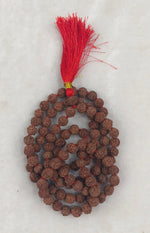 Load image into Gallery viewer, SIX MUKHI RUDRAKSHA MALA - KG01