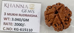 Load image into Gallery viewer, 3.040 Gram Natural Three Mukhi Rudraksha with Govt. Lab Certificate-KG615110