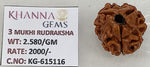 Load image into Gallery viewer, 2.580 Gram Natural Three Mukhi Rudraksha with Govt. Lab Certificate-KG615116