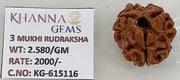 2.580 Gram Natural Three Mukhi Rudraksha with Govt. Lab Certificate-KG615116