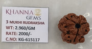 2.960 Gram Natural Three Mukhi Rudraksha with Govt. Lab Certificate-KG615117