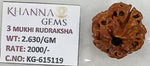 Load image into Gallery viewer, 2.630 Gram Natural Three Mukhi Rudraksha with Govt. Lab Certificate-KG615119