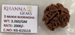 Load image into Gallery viewer, 3.260 Gram Natural Three Mukhi Rudraksha with Govt. Lab Certificate-KG615113