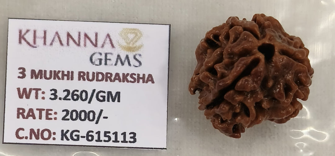 3.260 Gram Natural Three Mukhi Rudraksha with Govt. Lab Certificate-KG615113