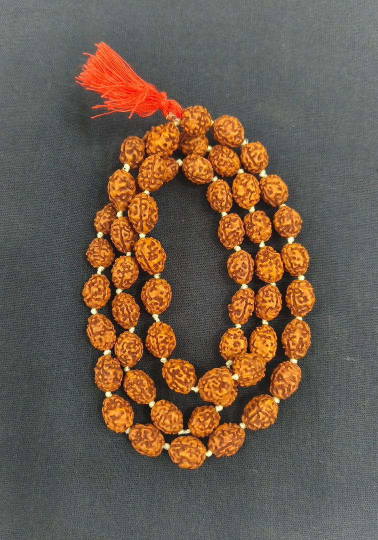 THREE MUKHI RUDRAKSHA MALA - KG01