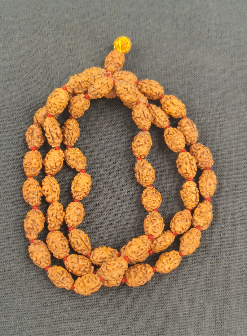 TWO MUKHI RUDRAKSHA MALA - KG01
