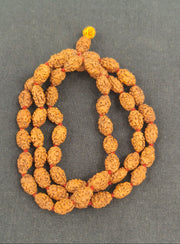 TWO MUKHI RUDRAKSHA MALA - KG01